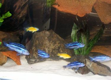 3acc5-4ft 2 Oct 2010 a.jpg