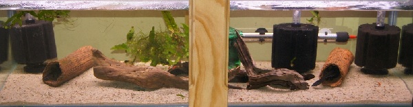 3.5ft 16th Oct 2011.jpg