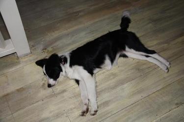 98328-Fishtank 059b.jpg