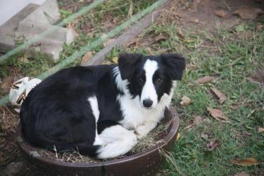 36e7d-Fishtank 053b.jpg