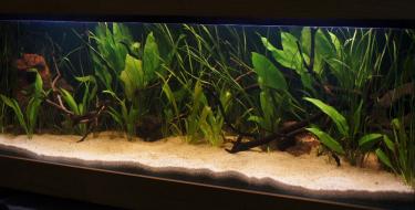 67f87-5ft 4th Mar 2012.jpg