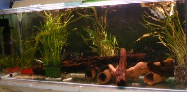 d170d-4ft 15th Sept 2010.jpg