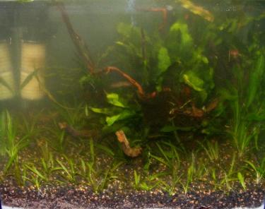 64bb7-2ft 15th Sept 2010.jpg