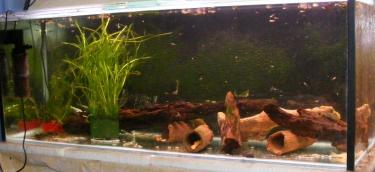 f6c7f-4ft 13th Sept 2010.jpg