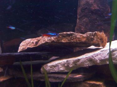 8ff50-baby room 005.jpg