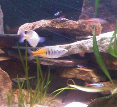 08027-baby room 003.jpg