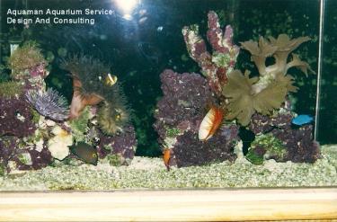 9e6a3-Exp Tank.2.jpg